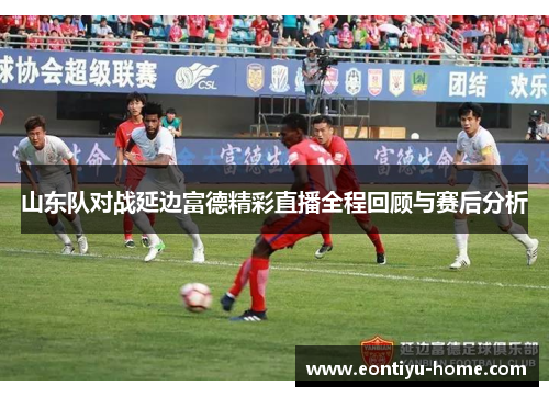山东队对战延边富德精彩直播全程回顾与赛后分析